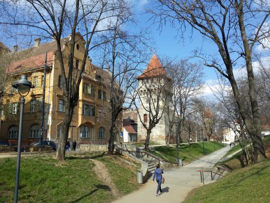 Muzeul Național Brukenthal